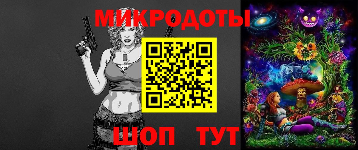 Псилоцибиновые грибы Psilocybe Барабинск